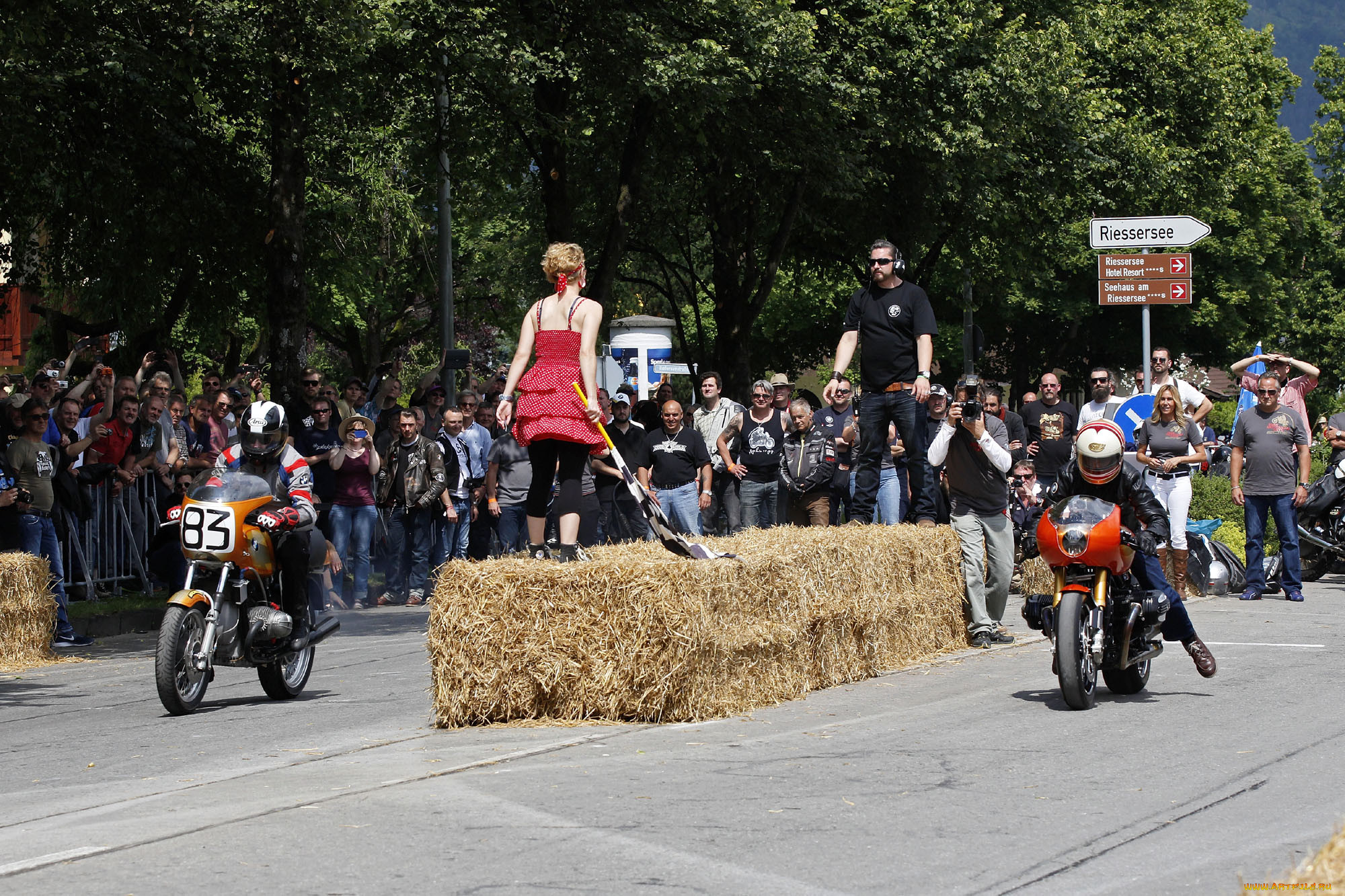 , bmw, 2013